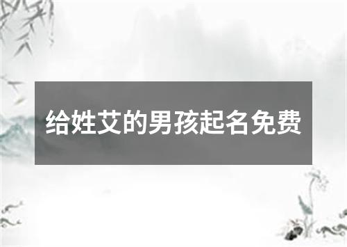 给姓艾的男孩起名免费