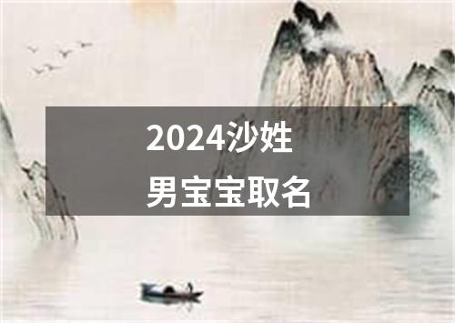 2024沙姓男宝宝取名