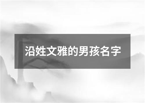 沿姓文雅的男孩名字