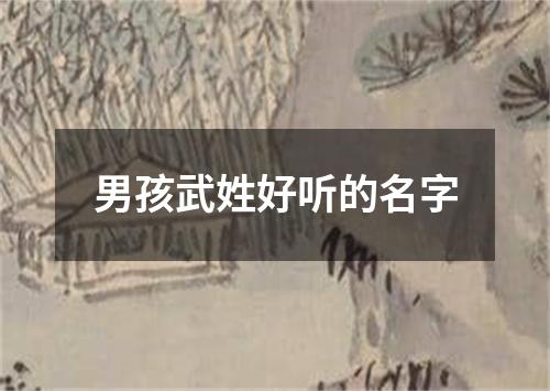 男孩武姓好听的名字