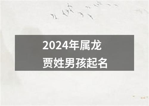 2024年属龙贾姓男孩起名