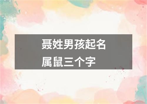 聂姓男孩起名属鼠三个字