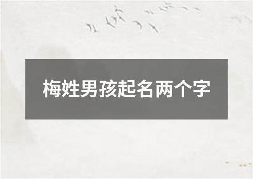 梅姓男孩起名两个字