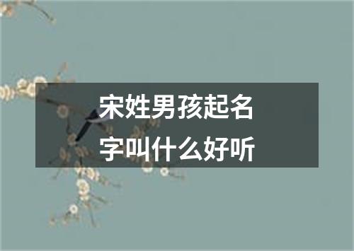 宋姓男孩起名字叫什么好听