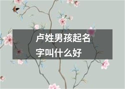 卢姓男孩起名字叫什么好