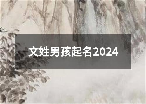 文姓男孩起名2024