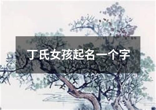 丁氏女孩起名一个字