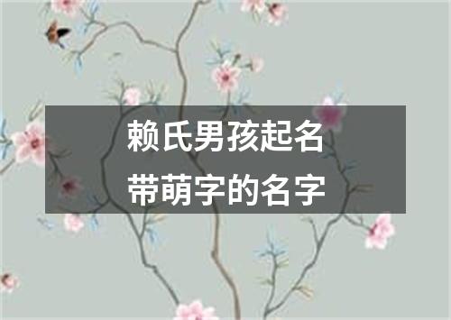 赖氏男孩起名带萌字的名字