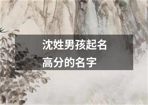 沈姓男孩起名高分的名字