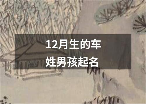 12月生的车姓男孩起名