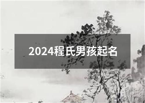 2024程氏男孩起名