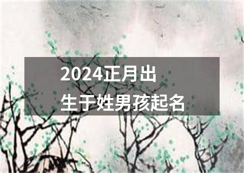 2024正月出生于姓男孩起名