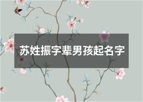 苏姓振字辈男孩起名字