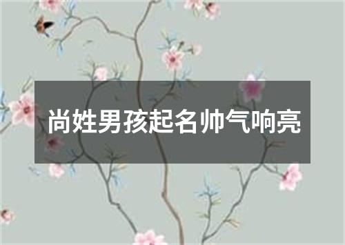 尚姓男孩起名帅气响亮