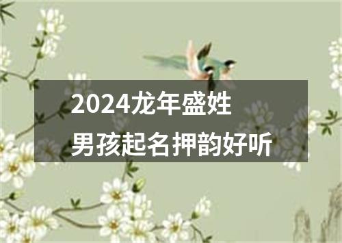 2024龙年盛姓男孩起名押韵好听