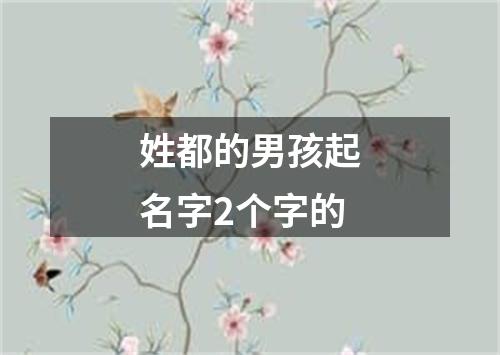 姓都的男孩起名字2个字的