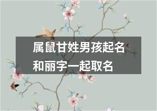 属鼠甘姓男孩起名和丽字一起取名