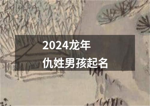 2024龙年仇姓男孩起名