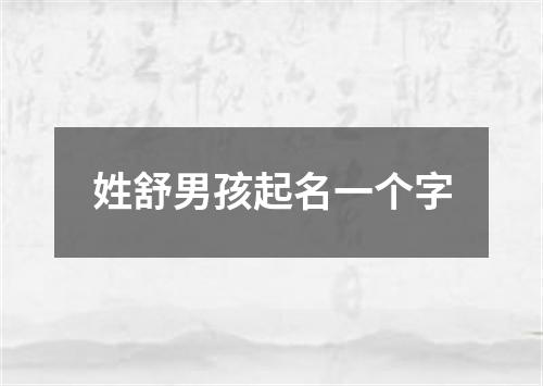 姓舒男孩起名一个字