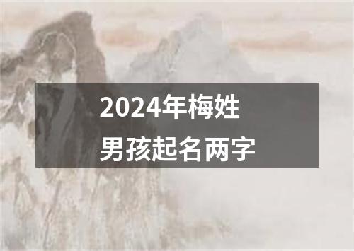 2024年梅姓男孩起名两字