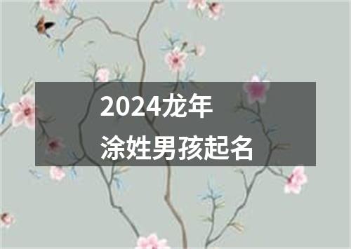 2024龙年涂姓男孩起名