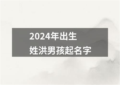 2024年出生姓洪男孩起名字