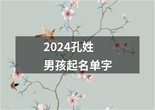 2024孔姓男孩起名单字