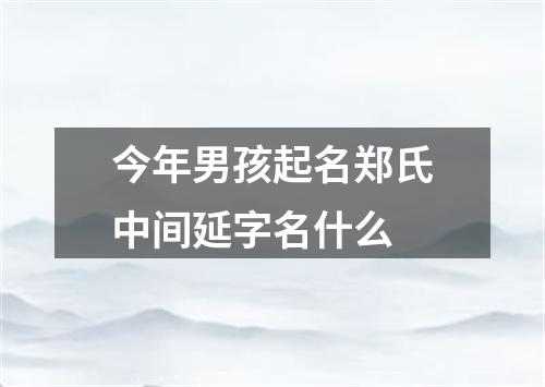 今年男孩起名郑氏中间延字名什么