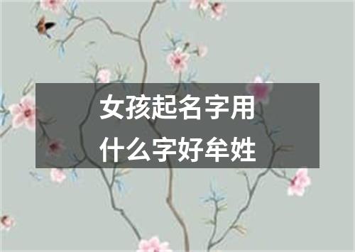 女孩起名字用什么字好牟姓