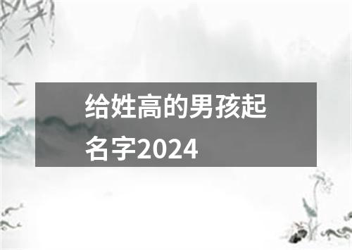 给姓高的男孩起名字2024