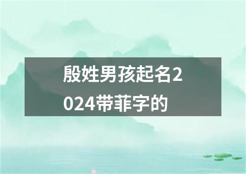 殷姓男孩起名2024带菲字的