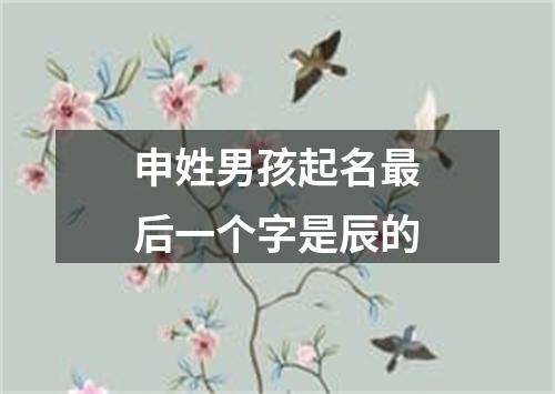 申姓男孩起名最后一个字是辰的