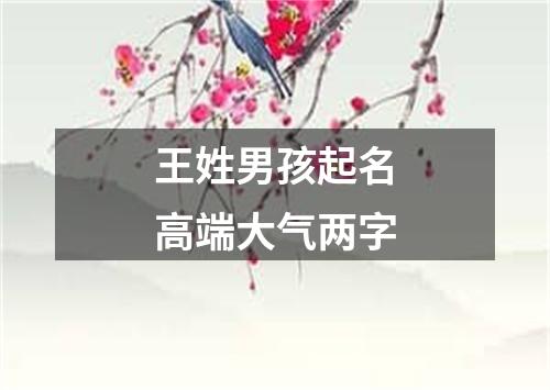 王姓男孩起名高端大气两字