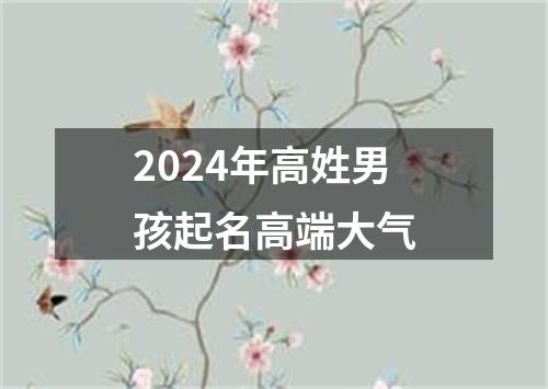 2024年高姓男孩起名高端大气