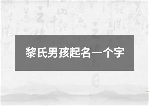 黎氏男孩起名一个字