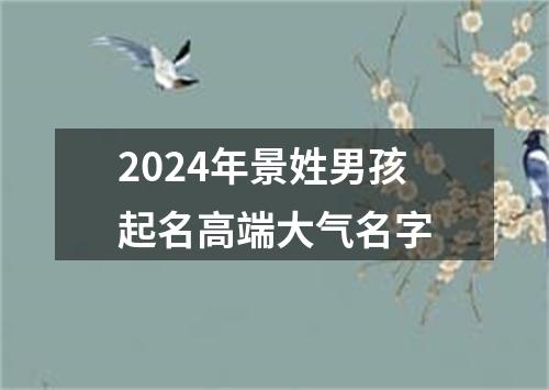 2024年景姓男孩起名高端大气名字