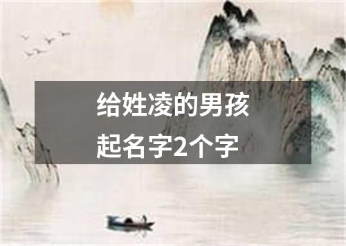 给姓凌的男孩起名字2个字