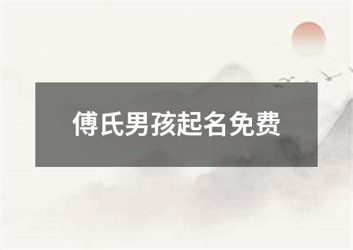 傅氏男孩起名免费