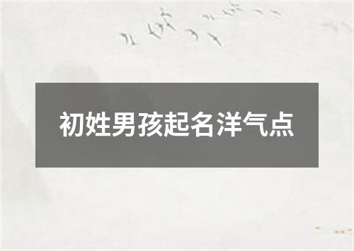 初姓男孩起名洋气点