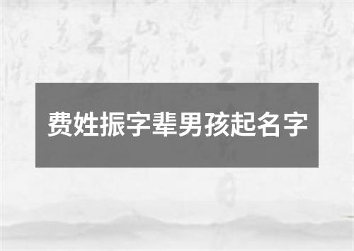 费姓振字辈男孩起名字