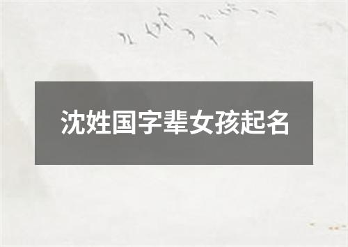 沈姓国字辈女孩起名