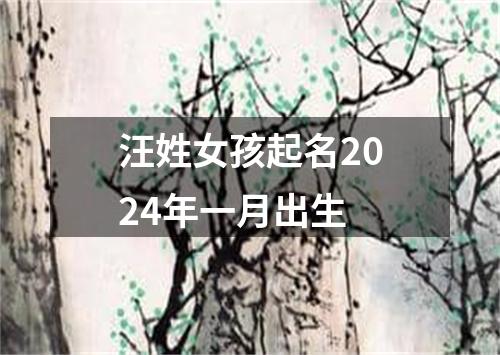 汪姓女孩起名2024年一月出生