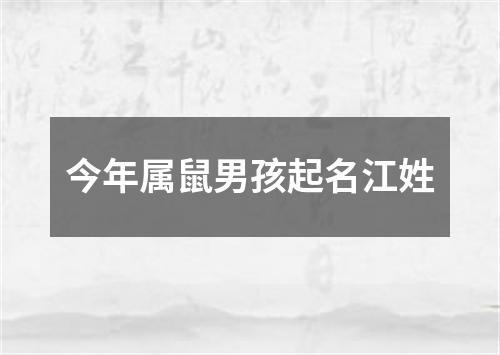 今年属鼠男孩起名江姓