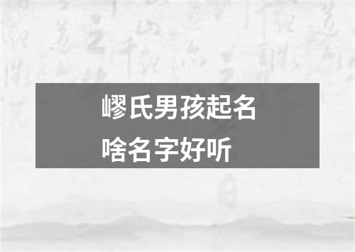 嵺氏男孩起名啥名字好听