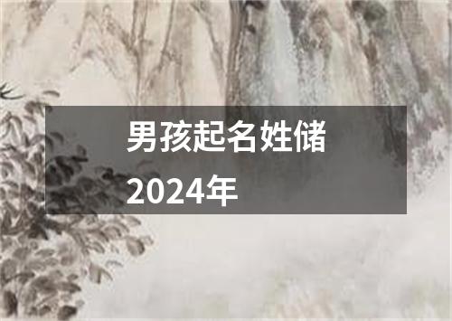 男孩起名姓储2024年