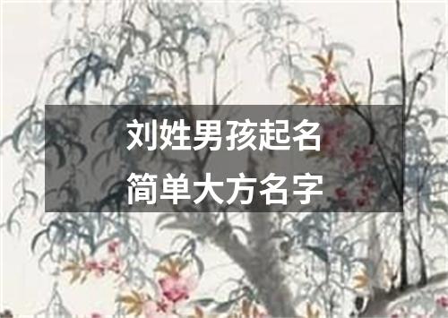 刘姓男孩起名简单大方名字