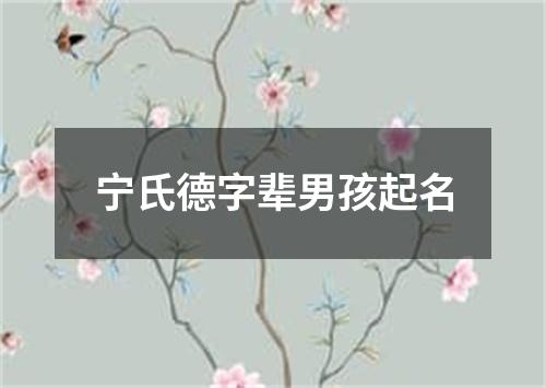 宁氏德字辈男孩起名