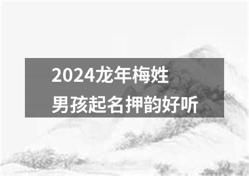 2024龙年梅姓男孩起名押韵好听