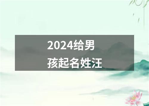 2024给男孩起名姓汪