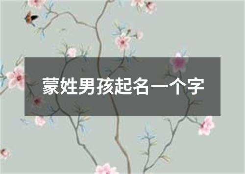 蒙姓男孩起名一个字